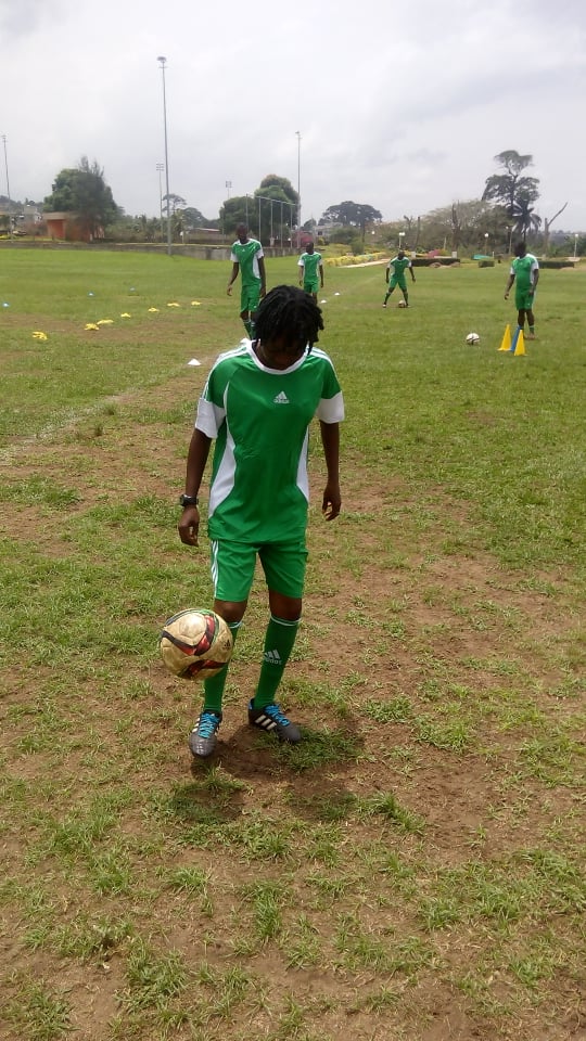 Article : Gonzos Trip Actual-Day Statistics, RTP & SRP